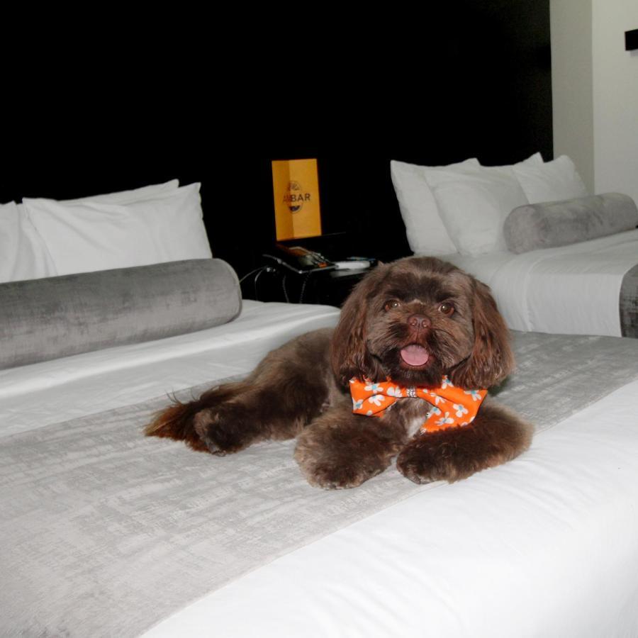 Stay Inn Hotels Reynosa Ngoại thất bức ảnh